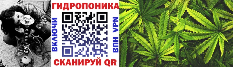 Купить наркоту Кизел Галлюциногенные грибы  Alpha-PVP  Бутират  Кокаин  Гашиш  АМФЕТАМИН  Меф 